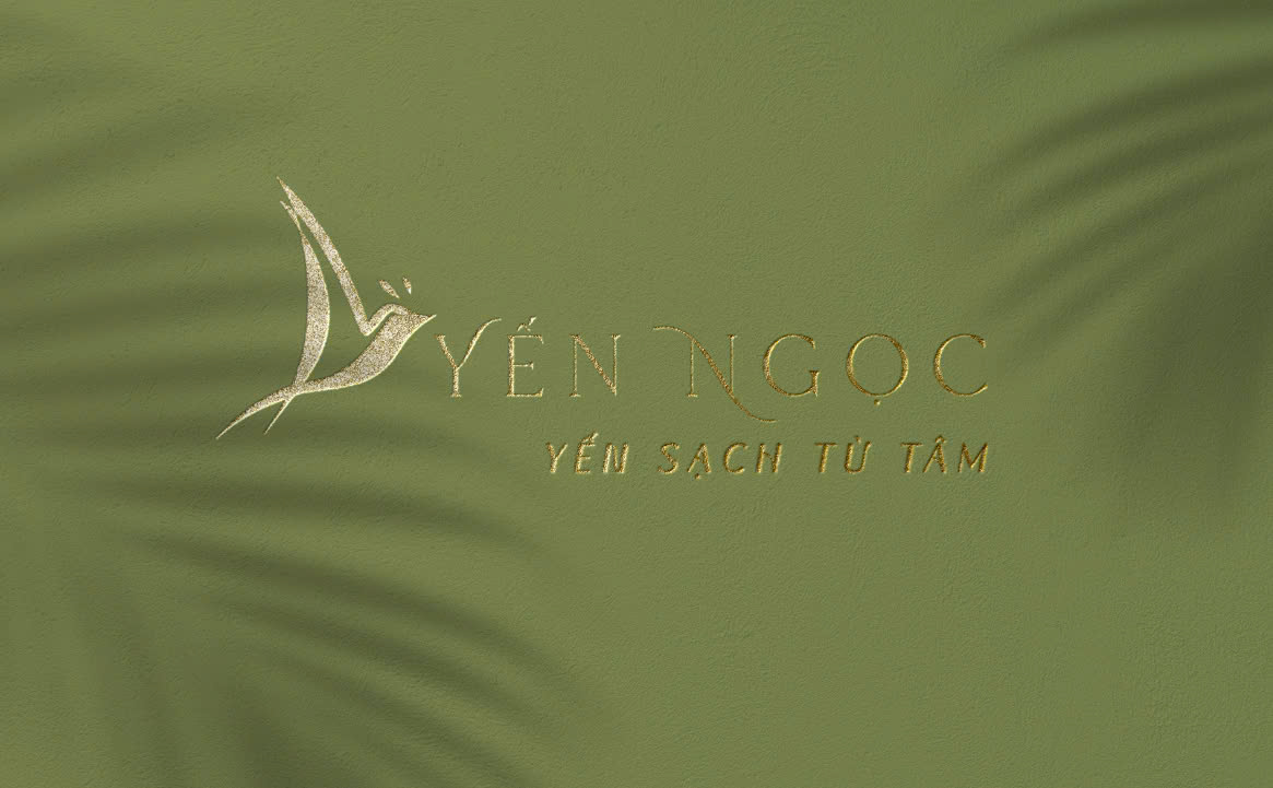 Thiết kế logo yến sào sáng tạo và độc đáo